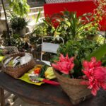 From Garden to Table: Indonesian Cooking Class in Yogyakarta - Practical Details and Tips