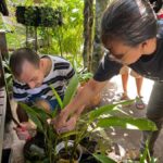 From Garden to Table: Indonesian Cooking Class in Yogyakarta - The Value and Practical Details
