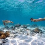 From Gili Meno: Private & Group Gili Islands Snorkeling - Discovering the Gili Islands Snorkeling Tour