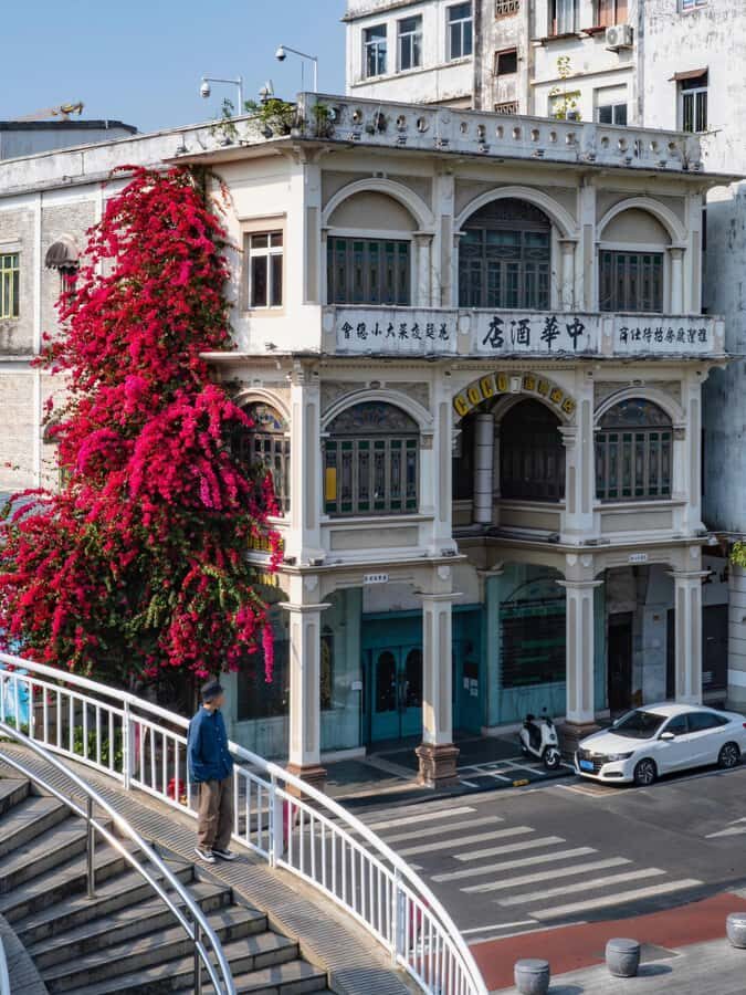 From Guangzhou: Jiangmen Cultural Discovery Private Day Trip - Who Would Love This Tour?