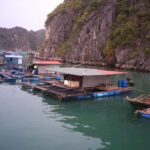 From Ha Noi/Cat Ba: Full-Day Cruise to Lan Ha - Ha Long Bay - A Complete Look at the Full-Day Cruise Experience