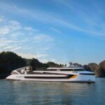 From Habor: Dolphin 5-Star Luxury Day Cruise through Halong Bay - Overview of the Experience
