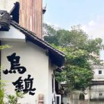 From Hangzhou: Wuzhen Water Town Tour with Riverside Essence - Detailed Elements and Why They Matter