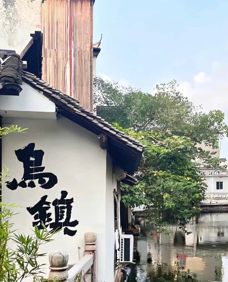 From Hangzhou: Wuzhen Water Town Tour with Riverside Essence - Detailed Elements and Why They Matter