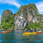 From Hanoi: 1-Day Halong 5-Star Cruises with Big & Small Groups - Food and Beverage