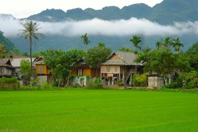 From Hanoi: Explore Mai Chaus Rural Villages & Scenic Valleys - What Sets This Tour Apart? Analyzing the Value