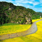 From Hanoi: Ninh Binh Bai Dinh or Hoa Lu, Trang An, Mua Cave - The Cultural and Natural Significance