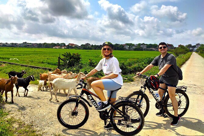 From Hanoi: Ninh Binh Highlights 2 Day 1 Night Small Group Tour - Potential Drawbacks and Considerations