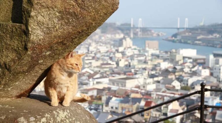 From Hiroshima/Fukuyama:1 Day Bus tour in Onomichi Tomonoura - FAQ