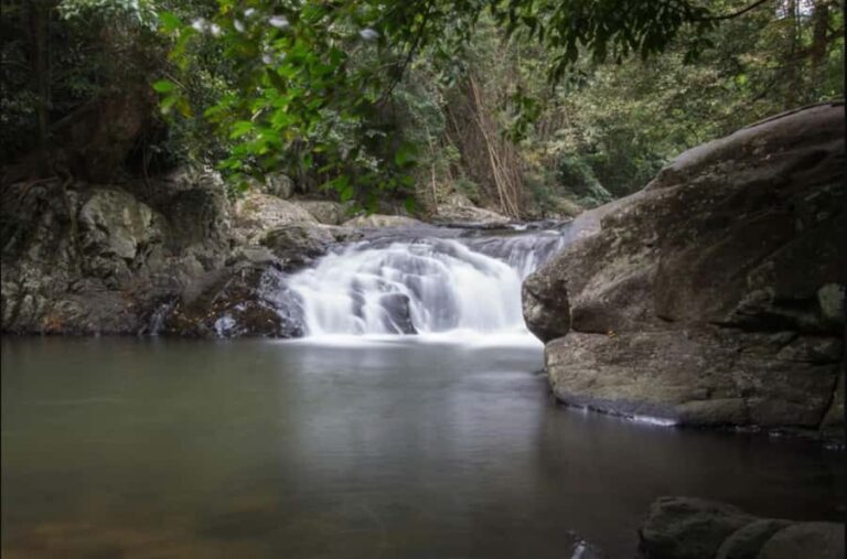 From Hua Hin: Pala U Waterfall and Huay Mongkol Temple Tour - What Makes This Tour Stand Out?