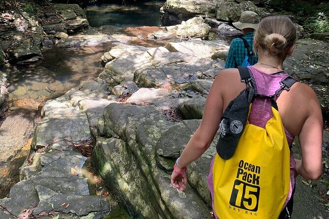 From Hue : Explore Bach Ma National Park Small Group Adventure - Who Is This Tour Best For?