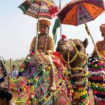 From Jaipur: One-Day Trip From Jaipur to Pushkar - The Return Journey