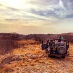 From Jaipur: Praivte Ranthambore Tour By Jeep Canter Safari - The Safari Experience: What You Can Expect