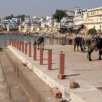 From Jaipur: Pushkar to Jodhpur Guided Tour - Why This Tour Works for Travelers
