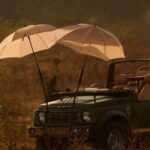 From Jaipur: Ranthambore National Park Day Trip with Safari - Introduction: What to Expect from the Ranthambore Day Trip
