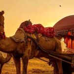 From Jaipur : Same Day Pushkar & Ajmer Guided Day Tour - Final Thoughts