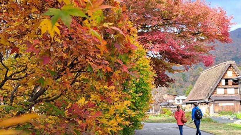 From Kanazawa/Takayama :Day Tour To Shirakawago & Takayama - Practical Details