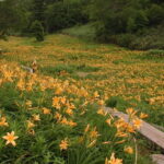 From Kanazawa: Tateyama Mountain Tour with Waterfall & Hike - Practical Details and Tips