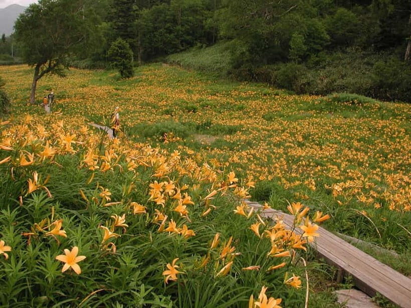 From Kanazawa: Tateyama Mountain Tour with Waterfall & Hike - Practical Details and Tips