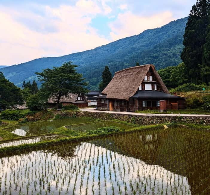 From Kanazawa: Tonami Tulip Festival and UNESCO Gokayama - The Vibrant Tonami Tulip Festival