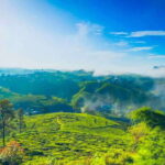From Kandy: All Inclusive Nuwara Eliya Day Tour with Lunch - Why This Tour Offers Good Value