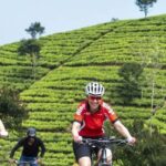 From Kandy: Mountain Biking Adventure to Nuwara Eliya - Scenic Highlights: Tea Trails and Misty Hills