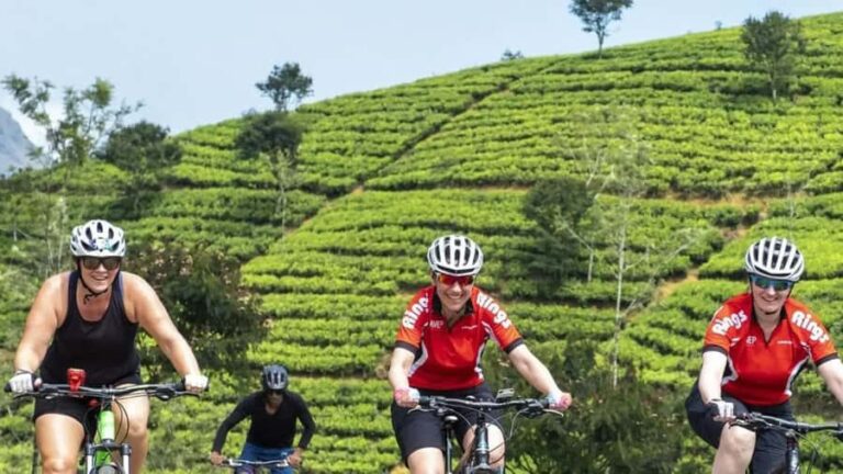 From Kandy: Mountain Biking Adventure to Nuwara Eliya - Scenic Highlights: Tea Trails and Misty Hills