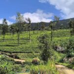 From Kandy: Pekoe Trail Stage 3 Guided Hike - FAQs