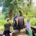 From Kandy : Pinnawala Elephant Orphanage & Ambuluwawa Tower - Practicalities and Comfort