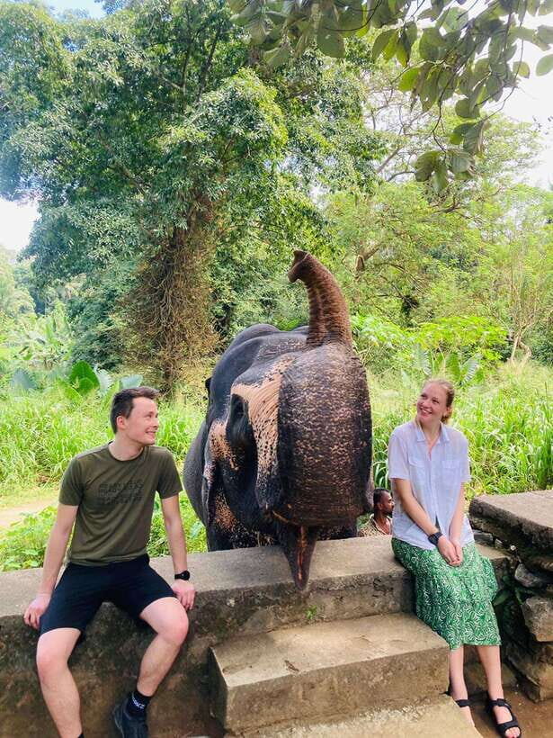 From Kandy : Pinnawala Elephant Orphanage & Ambuluwawa Tower - Practicalities and Comfort