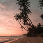 From Kandy: Sigiriya & Dambulla Day Tour with Safari - The Sum Up