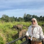 From Kandy: Sigiriya Rock & Minneriya Safari by Luxury Car - The Value of a Private, All-Inclusive Experience