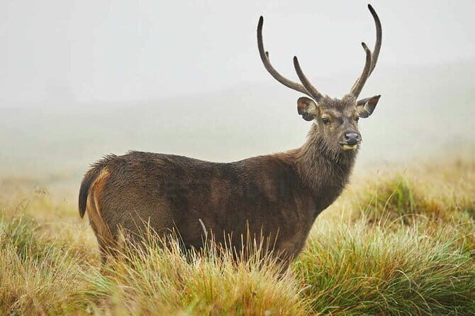 From Kandy to ELLA Private day tour - What Makes This Tour Stand Out?