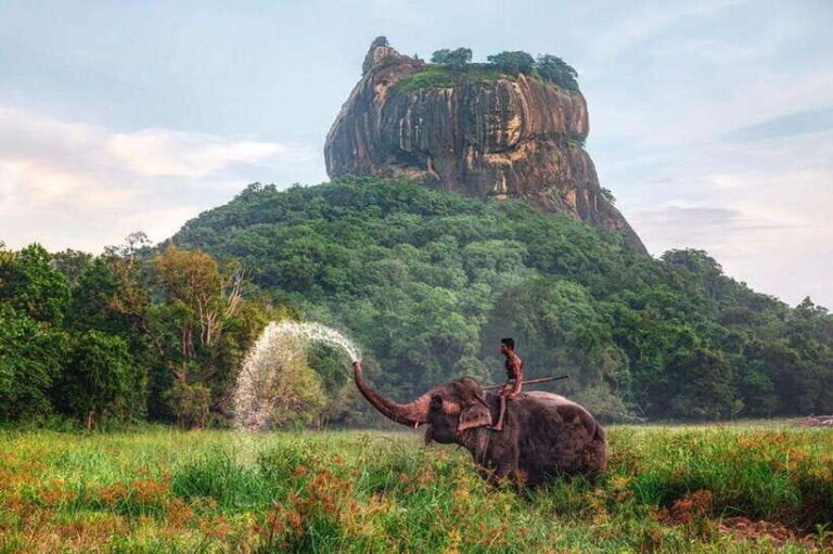 From : Kandy to Sigiriya Private Guide Tour by Tuk Tuk - Transportation and Practical Details