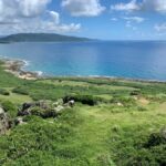 From Kaohsiung: Kenting & Ocean Coast Private Day Tour - Why This Tour Works for Travelers