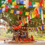 From Kathmandu: 1-Day Lumbini Tour by Airplane - What to Know Before Booking