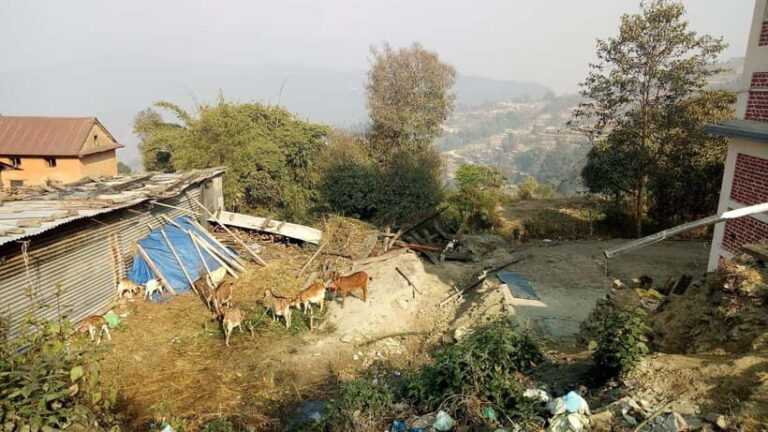 From Kathmandu: Nagarkot and Dhulikhel Trek with Namobuddha - The Sum Up