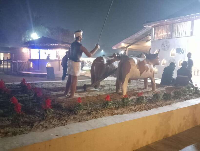 From Kathmandu or Pokhara: 4-Day Chitwan National Park Tour - Authentic Experiences and Review Highlights