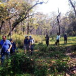 From Kathmandu/Pokhara: 2, 3, or 4-Day Chitwan Jungle Safari - Evaluating the Value