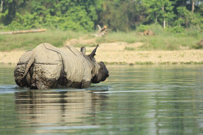 From Kathmandu: Private 3-Day Chitwan Safari Tour - The Sum Up