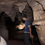 From Khao Sok: Half-Day Rainforest Trek with Local Guides - Logistics and Practicalities