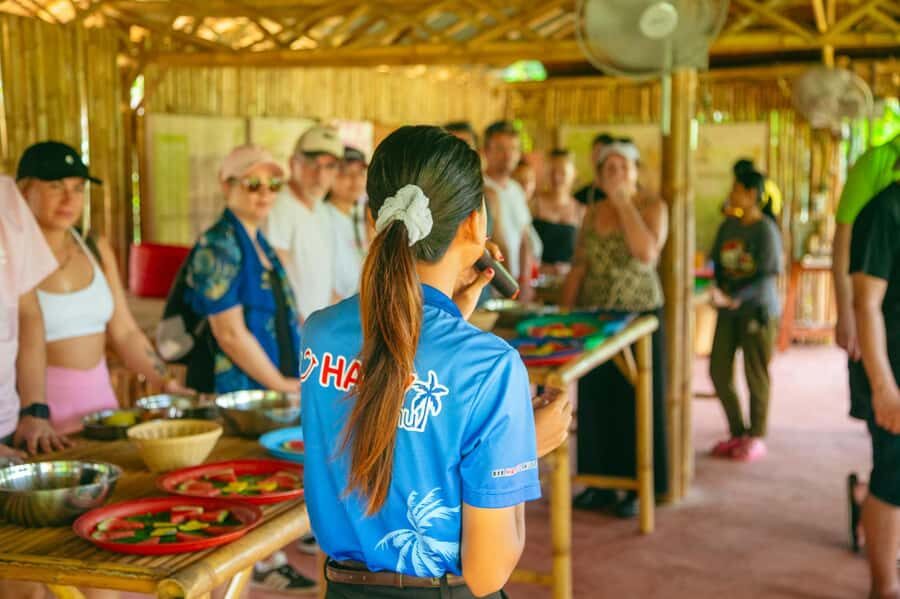 From Koh Samui: Elephant Sanctuary & Jungle Adventure Tour - Exploring the Itinerary in Detail