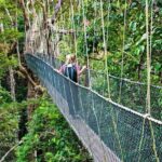 From Kuala Lumpur Taman Negara Day Trip With Lunch - Practical Details and What’s Included