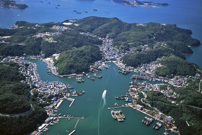 From Kyoto Island Exploration with Local Seafood Lunch - Practical Considerations