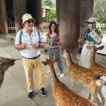 From Kyoto: Nara Guided Morning Tour - Why This Tour Offers Great Value