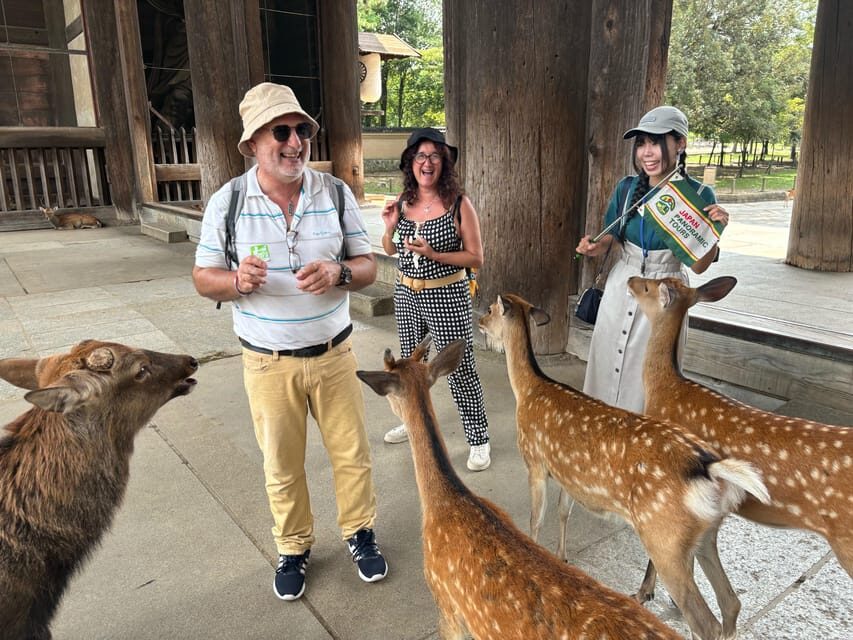 From Kyoto: Nara Guided Morning Tour - Why This Tour Offers Great Value