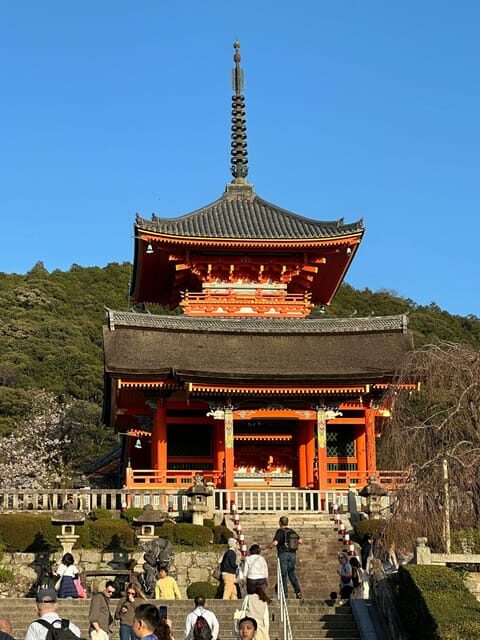 From Kyoto & Osaka: Kyoto Top Attractions Private Day Tour - Transport and Logistics
