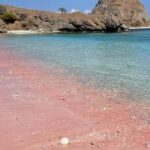 From Labuan Bajo: Komodo Dragons and Island Hop with All Fee - Practical Details and Value