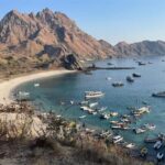 From Labuan Bajo: Komodo Dragons and Island Hop with All Fee - Transportation, Group Size, and Pricing
