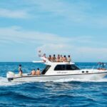From Lembongan: Full Day Private Boat Snorkeling Nusa Penida - What Makes This Tour Stand Out?